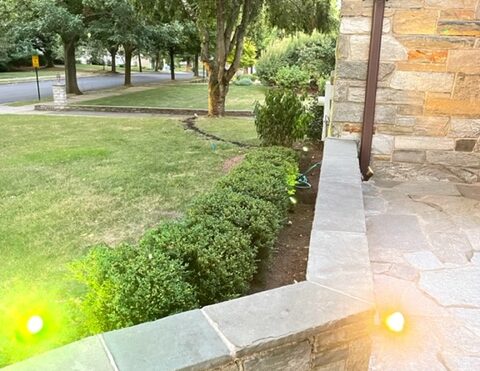 Two walkway lights in a garden space